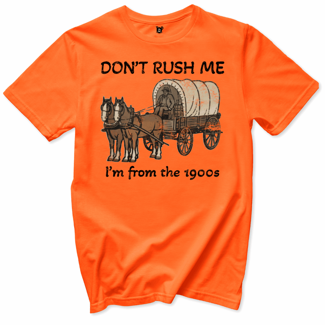 Printify T-Shirts Orange / S From the 1900s T-Shirt